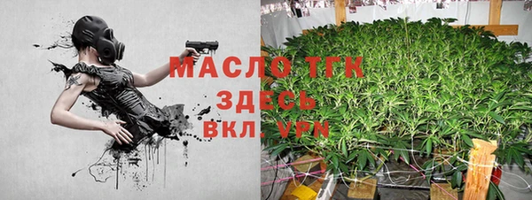 твердый Богородицк