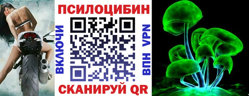 Псилоцибиновые грибы мицелий  Купить закладки  Биробиджан 